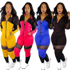 Casual Mesh Patchwork Hooded Tracksuit 2 Piece Set TR-963