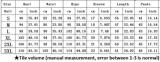 Plus Size Casual Printed Tees And Shorts 2 Piece Sets YH-5073