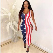 Plus Size America Flag Print Hollow Maxi Dress SHD-9265