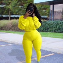 Casual Sports Ribbed Long Sleeve Two Piece Set NIK-174