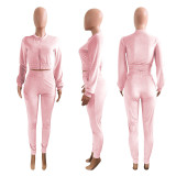 Casual Velvet Zipper Long Sleeve 2 Piece Sets NIK-185