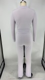 Casual Zipper Long Sleeve Two Piece Pants Set XMY-9266