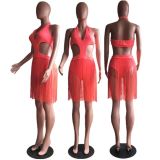 Sexy Tassel V Neck Halter One Piece Swimsuit MDF-5205
