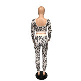 Plus Size Fashion Leopard Print Sports Casual Long Sleeve And Pants 2 Piece Set WAF-7139
