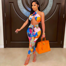 Sexy Printed Halter Crop Top Long Skirt 2 Piece Sets CHY-1317