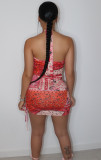 Sexy Printed Halterneck  Mini Dress BGN-150
