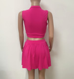 Sexy Sleeveless Pleated Culottes Two Piece Sets LSD-9140