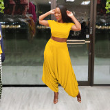 Solid Crop Top And Loose Harem Pants 2 Piece Sets SFY-2112