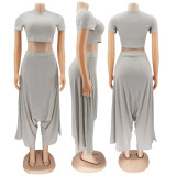 Solid Crop Top And Loose Harem Pants 2 Piece Sets SFY-2112