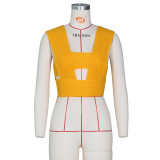 Fashion Sexy Sweater Vest Universal In All Seasons ZSD-0103