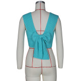 Fashion Sexy Sweater Vest Universal In All Seasons ZSD-0103