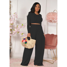 Plus Size Casual Solid Long Sleeve Two Piece Pants Set FOSF-8092