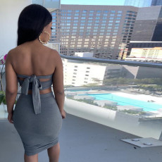 Sexy Solid Tube Top And Skirt Two Piece Sets TE-4301