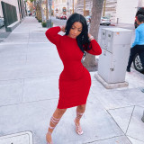 Solid Long Sleeve Bodycon Dress FOSF-8095