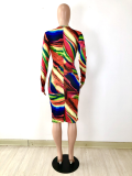 Sexy Printed Long Sleeve Bandage Dress YNSF-1669