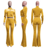 Solid Velvet Zipper Long Sleeve Top Flare Pants 2 Piece Suits NIK-263