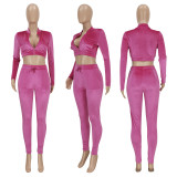 Solid Velvet Long Sleeve Zipper Two Piece Pants Set FENF-176