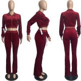 Solid Velvet Long Sleeve Zipper 2 Piece Pants Set FSL-F171
