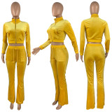 Solid Velvet Long Sleeve Zipper 2 Piece Pants Set FSL-F171
