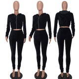 Velvet Hooded Zipper Coat And Pants 2 Piece Sets YD-8535
