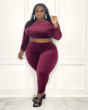 Plus Size Long Sleeve Two Piece Pants Set ZDF-31170