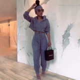 Plus Size Plush Hooded Long Sleeve 2 Piece Pants Set HNIF-061