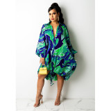 Casual Print Long Sleeve Midi Dress NY-2201