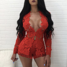 Sexy Lace Long Sleeve Top And Shorts 2 Piece Sets TE-4345