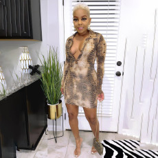 Snake Skin Print Deep V Neck Long Sleeve Bodycon Dress HMS-5522