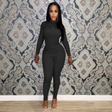 Solid Long Sleeve Two Piece Pants Set FOSF-8114