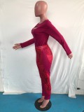 Sexy Printed Long Sleeve Two Piece Sets OMY-80077