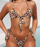 Sexy Simple Halter Neck Bikini Two Piece Set CSYZ-19126