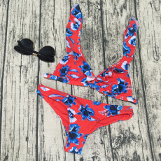 Floral Print Ruffled Bikini Two Piece Sets CASF-8743