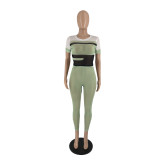 Fashion Print Mesh Short Sleeve And Pants Two Piece Sets IV-8297