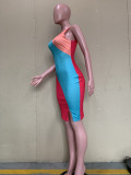 Contrast Color Sleeveless Bodycon Dress ORY-5235