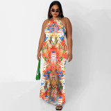Plus Size Printed Sleeveless Maxi Dress OSIF-22410