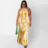 Plus Size Printed Sleeveless Maxi Dress OSIF-22410