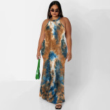Plus Size Printed Sleeveless Maxi Dress OSIF-22410