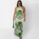 Plus Size Printed Sleeveless Maxi Dress OSIF-22410