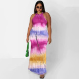 Plus Size Printed Sleeveless Maxi Dress OSIF-22410