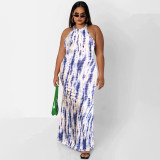 Plus Size Printed Sleeveless Maxi Dress OSIF-22410