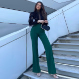 Elegant Solid High Waist Long Pants SH-390374