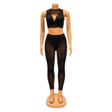 Fashion Sexy Mesh Splice See Through Two Piece Pants Set GOSD-OS6574