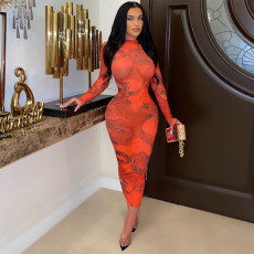 Sexy Slim Mesh Print Long Sleeve Dress GOSD-OS6582