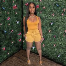 Vest Shorts Casual Two Piece Set GWDS-210411