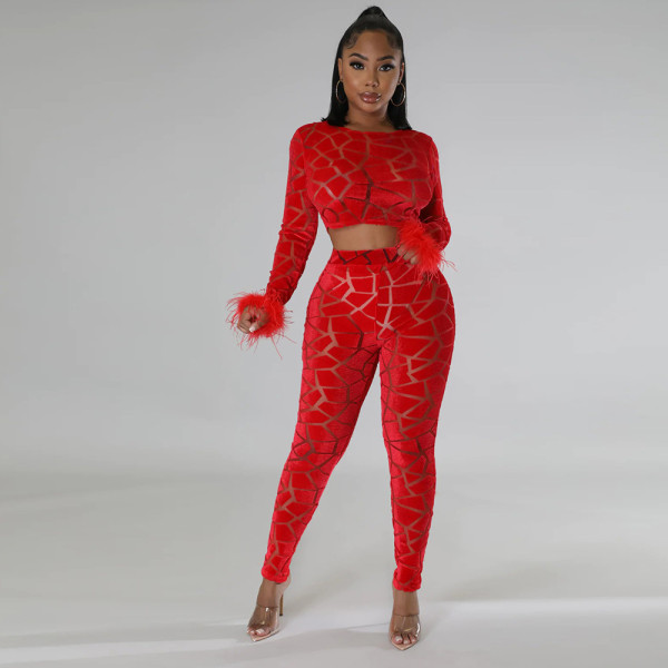 Fashion Long Sleeve Short Tops And Pencil Pant 2 Piece Set CYA-900174