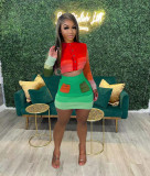 Casual Knits Color Contrast Long Sleeve Two Piece Skirt Set TR-1233