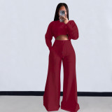 Solid Color Long Sleeve Crop Tops And Loose Pant 2 Piece Set OLYF-6111
