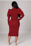 Solid Color Long Sleeve Slim Midi Dress XHXF-335