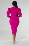 Solid Color Long Sleeve Slim Midi Dress XHXF-335